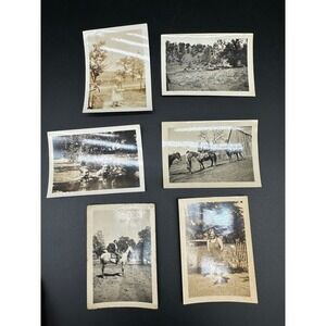 Antique Black &‎ White Photo Lot Horses Ranch Farm Life Swimming California